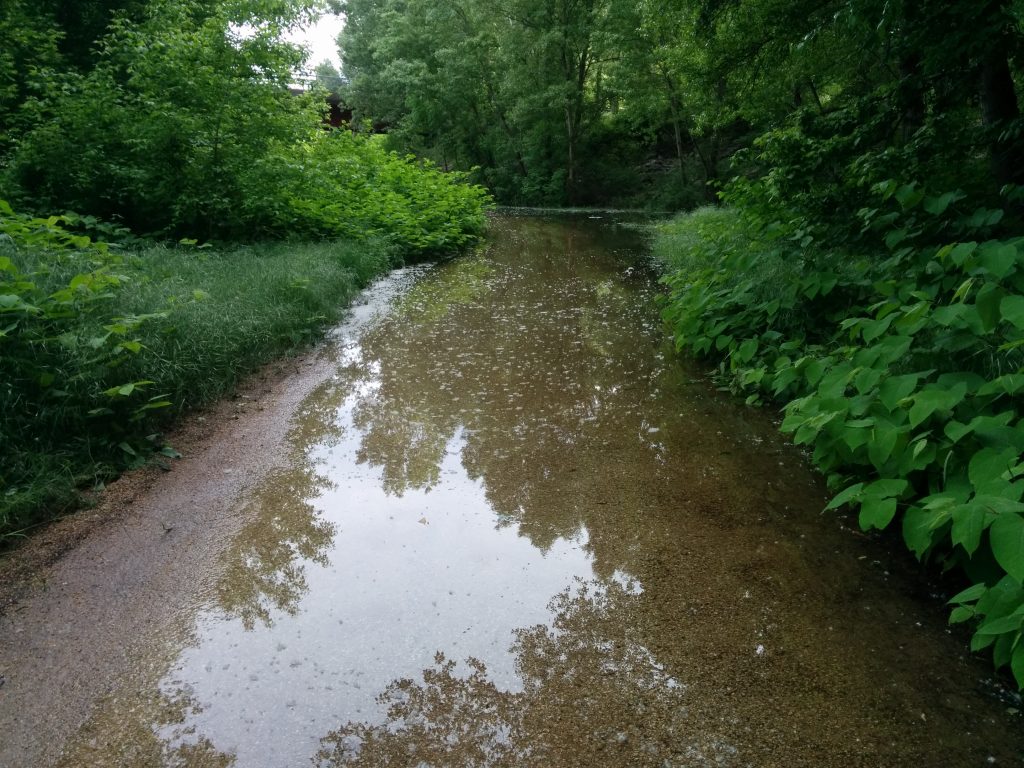 Il n'y a pas qu'à Troyes que les voies vertes sont inondées. Ici le long du Rhône pendant sa crue début mai.